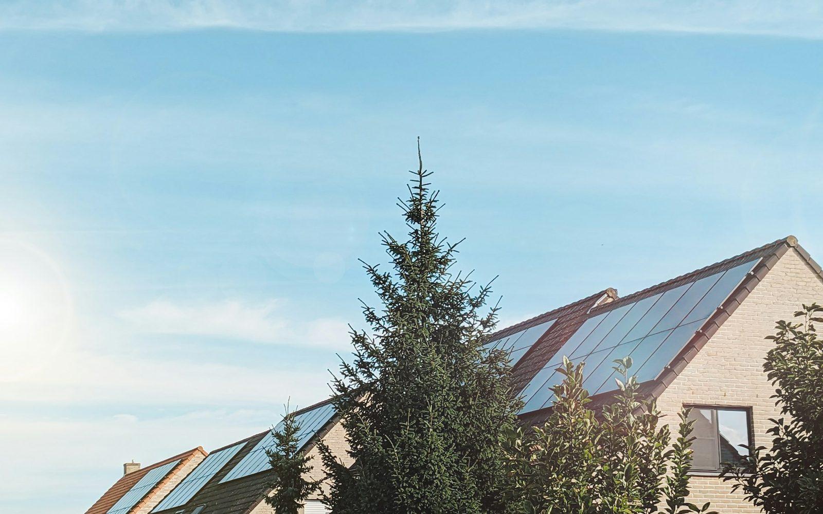 Zonnepanelen op woningdaken in een Nederlandse wijk